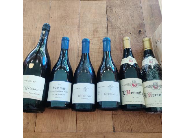 Lot vins uniques / salon / selosse / ente - photo 2