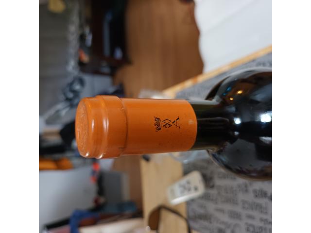 Solaia 2002 - photo 3