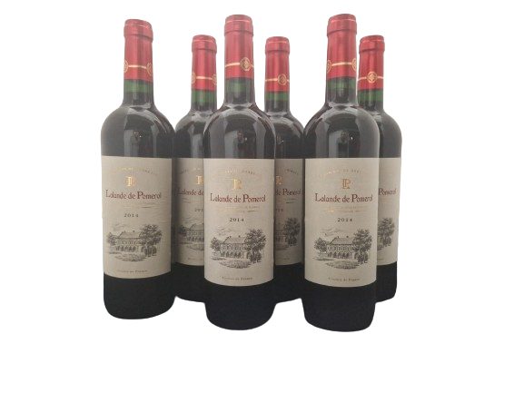 Stock de vin complet - 2400 bouteilles (400 cartons) - Idéal Caviste / Revendeur