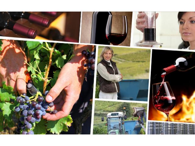 Château des Moines : Grand vin Pomerol